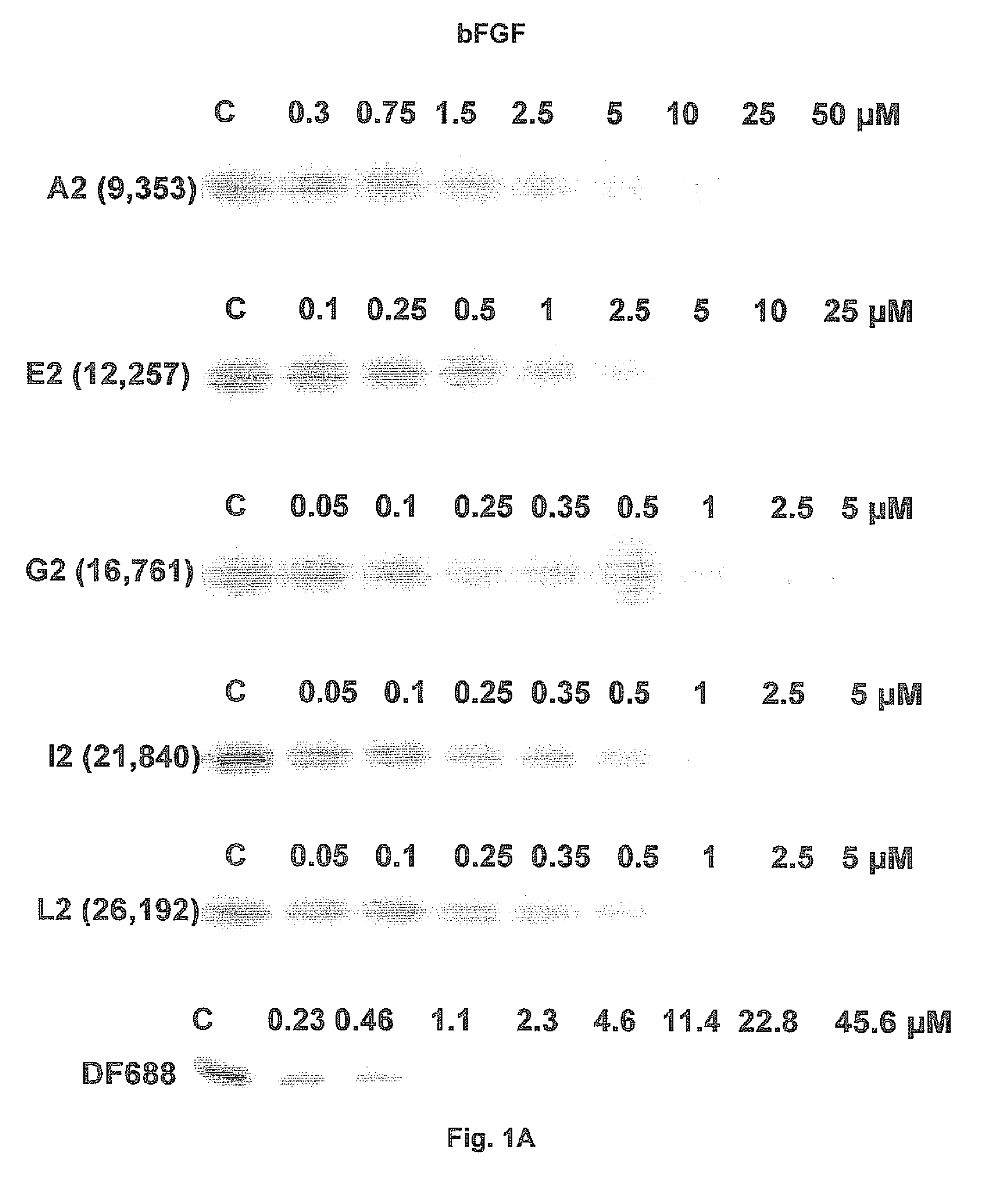 Synthetic phosphodiester oligonucleotides and therapeutical uses thereof