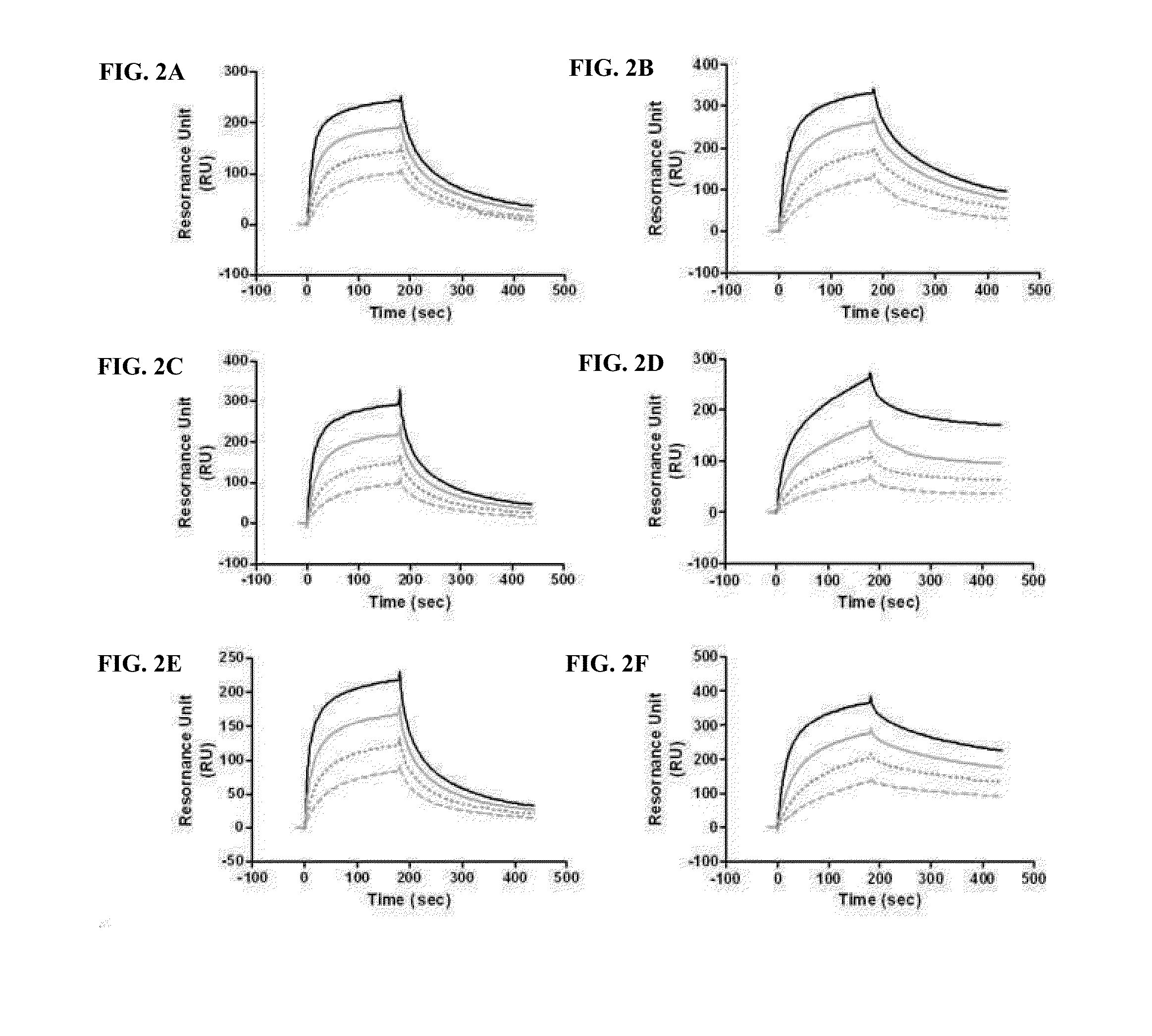 Immunoglobulin fc conjugate which maintains binding affinity of immunoglobulin fc fragment to fcrn