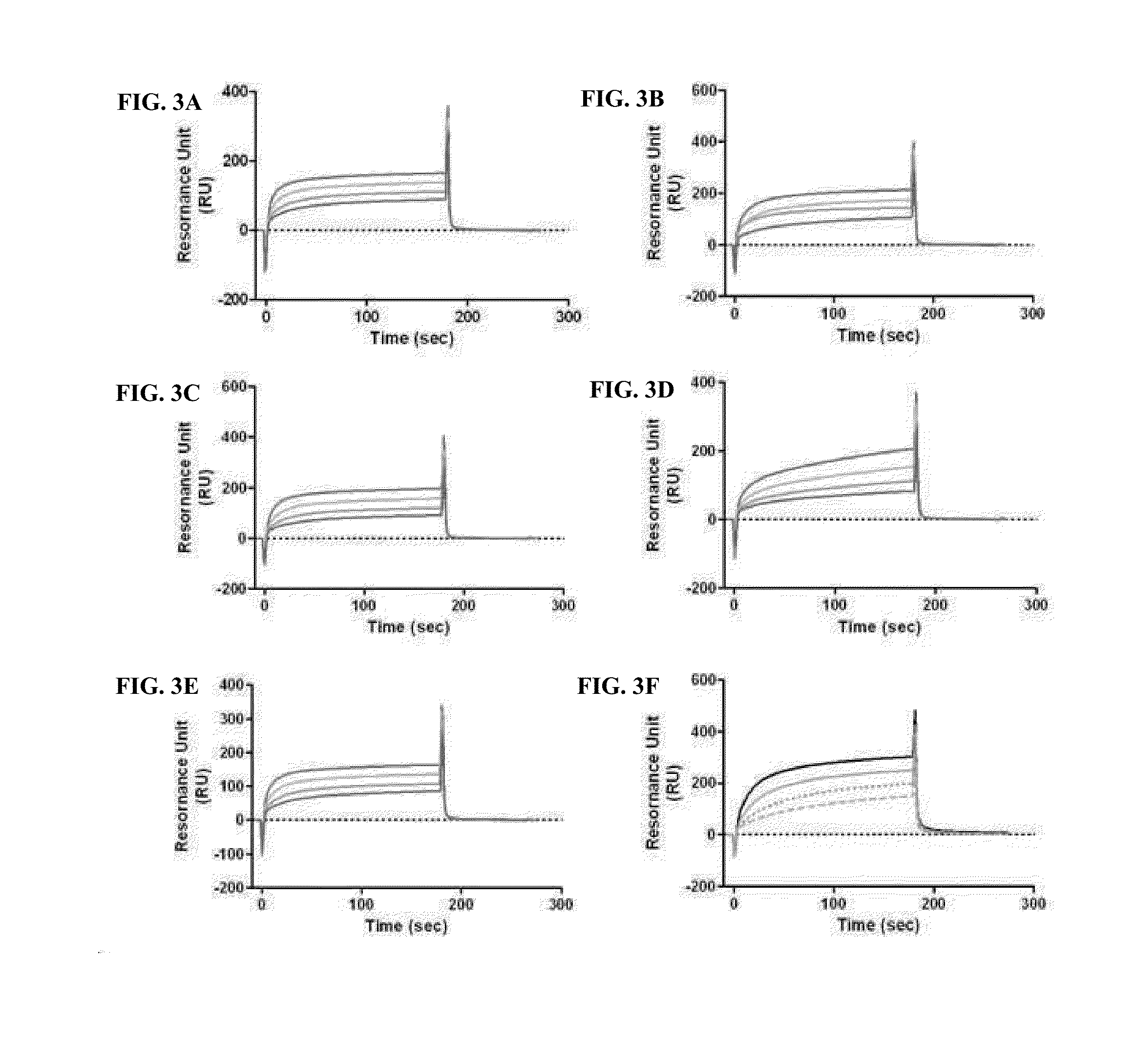 Immunoglobulin fc conjugate which maintains binding affinity of immunoglobulin fc fragment to fcrn