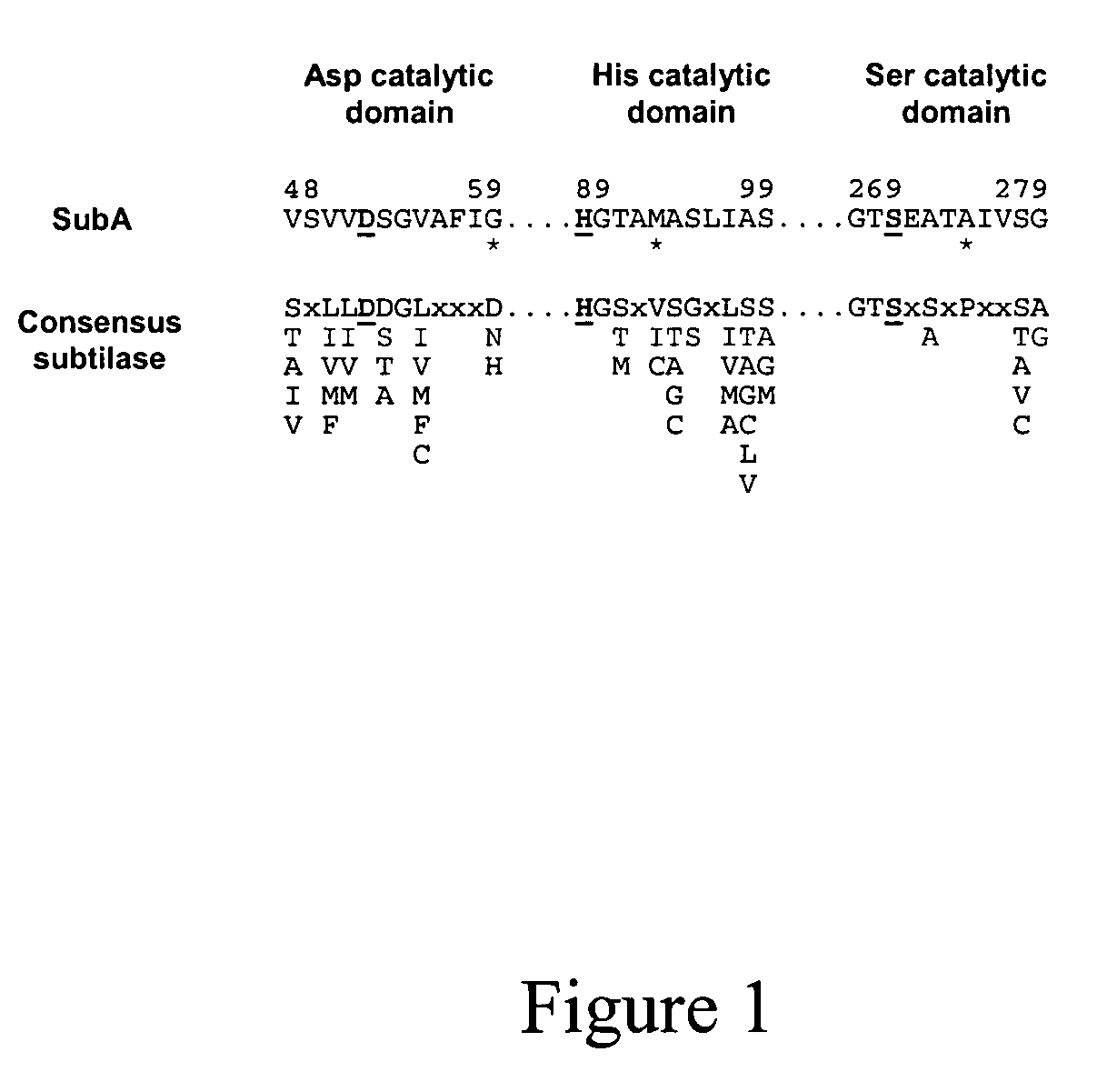 Cytotoxin with a subtilase domain