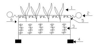 Modular system for purification of polluted river water body and application of the same