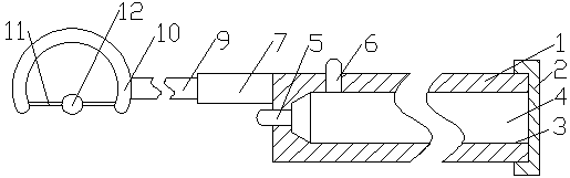 Tongue inspecting and training device