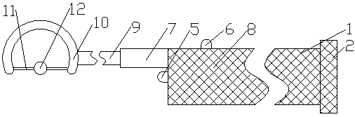 Tongue inspecting and training device