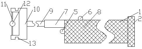 Tongue inspecting and training device