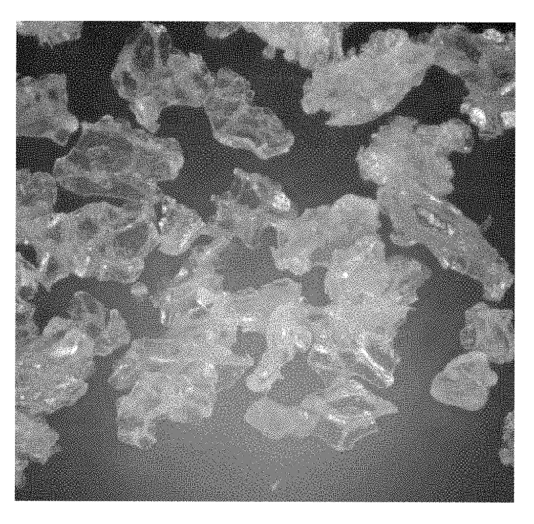 Skin cleansing compositions comprising biodegradable abrasive particles