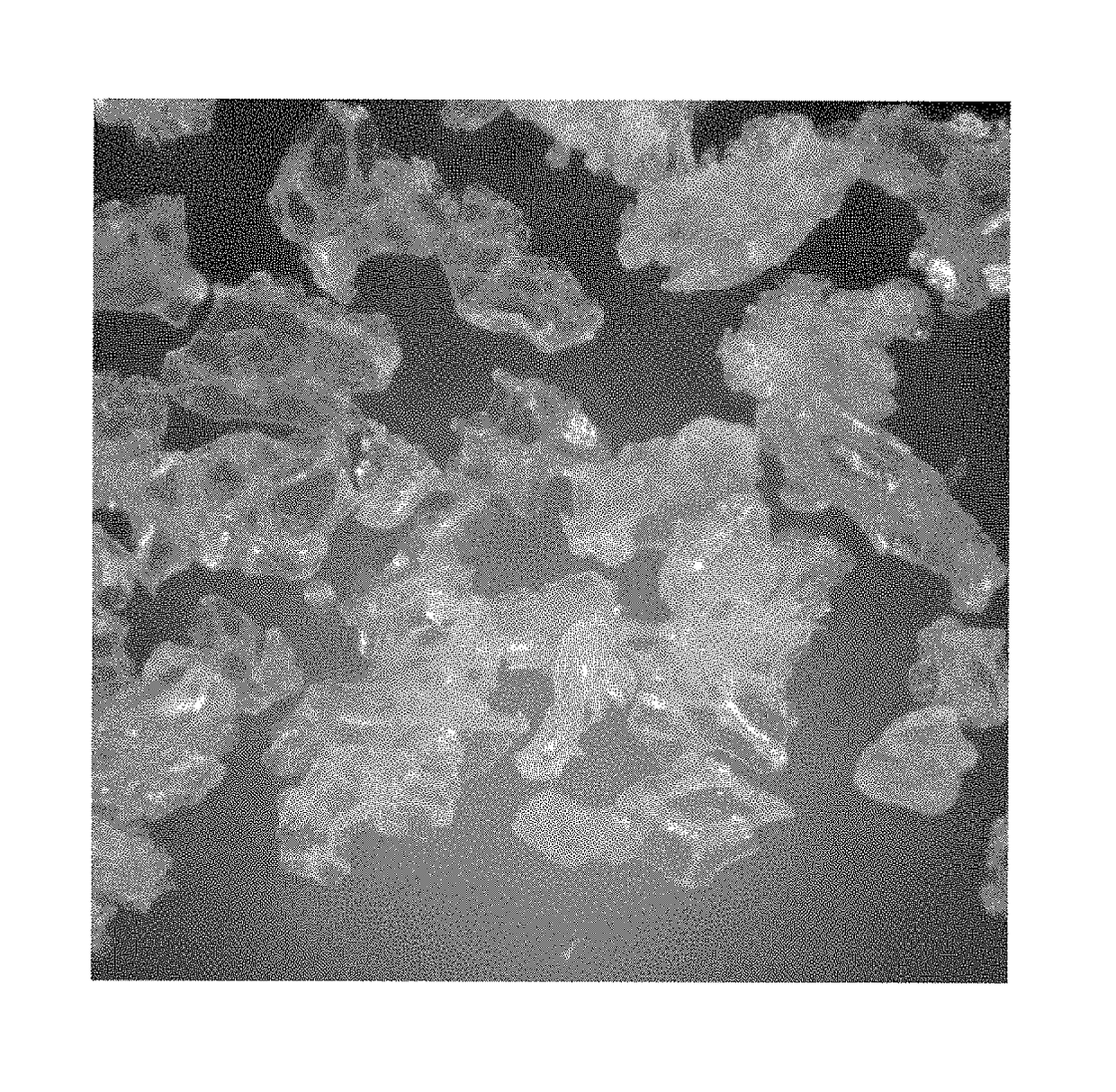 Skin cleansing compositions comprising biodegradable abrasive particles