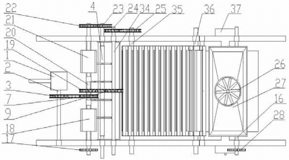 Pinellia ternate harvester and harvesting method