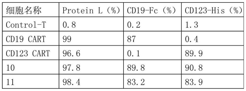 Double-target chimeric antigen receptor targeting CD19 and CD123 and application of double-target chimeric antigen receptor