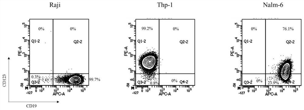 Double-target chimeric antigen receptor targeting CD19 and CD123 and application of double-target chimeric antigen receptor