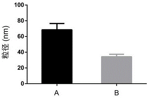 Targeted drug delivery system for brain glioma as well as preparation method and use thereof