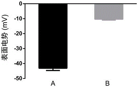 Targeted drug delivery system for brain glioma as well as preparation method and use thereof