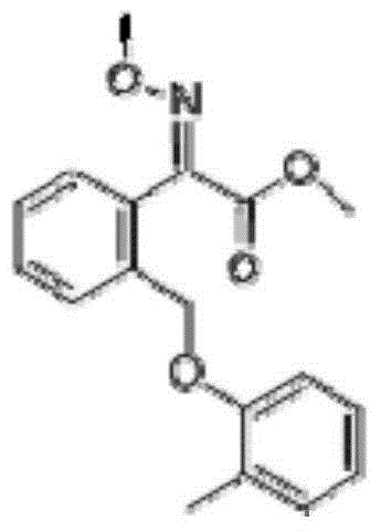 Fungicidal composition containing boscalid and kresoxim-methyl and application of fungicidal composition