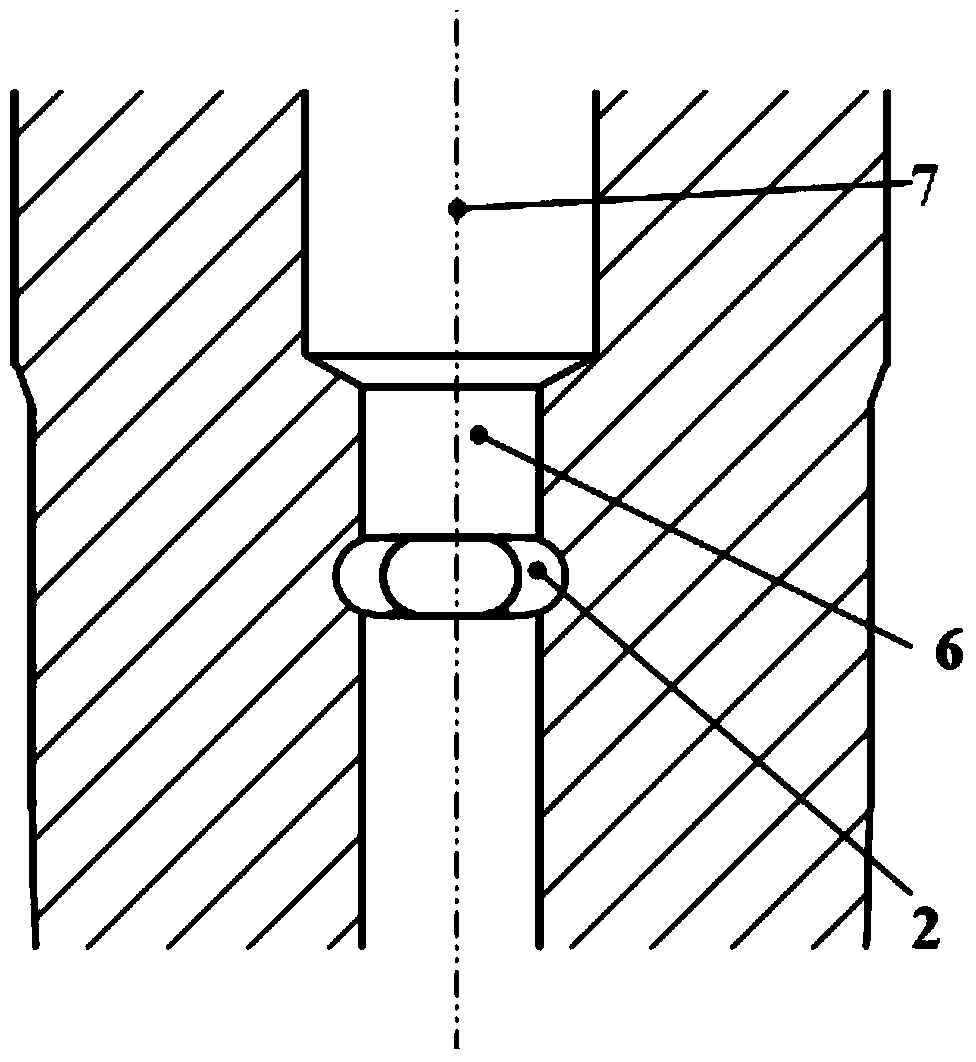 Oil inlet of common rail injector