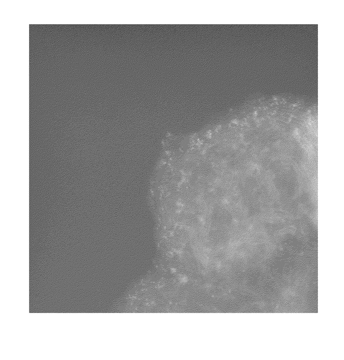 Method of preparing precious metal nitride nanoparticle compositions