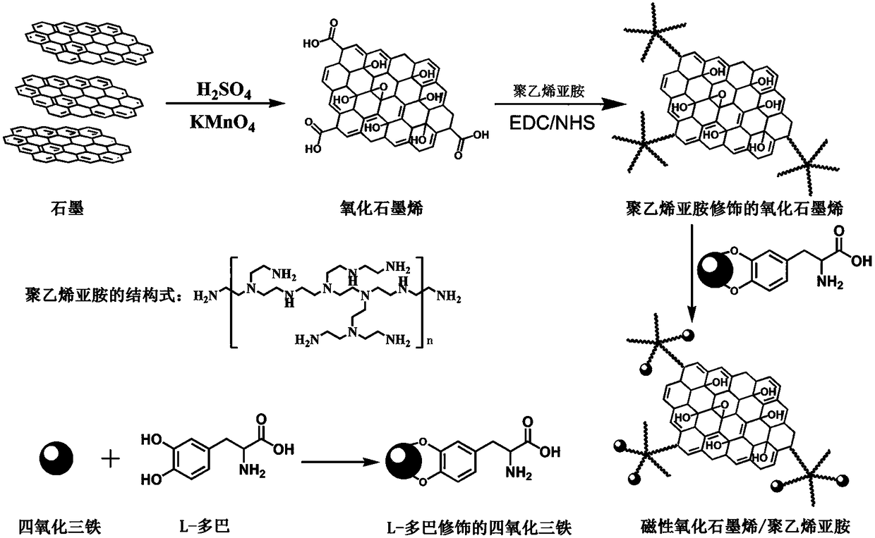 Magnetic oxidized graphene/polyethyleneimine adsorbent and preparation method and application thereof