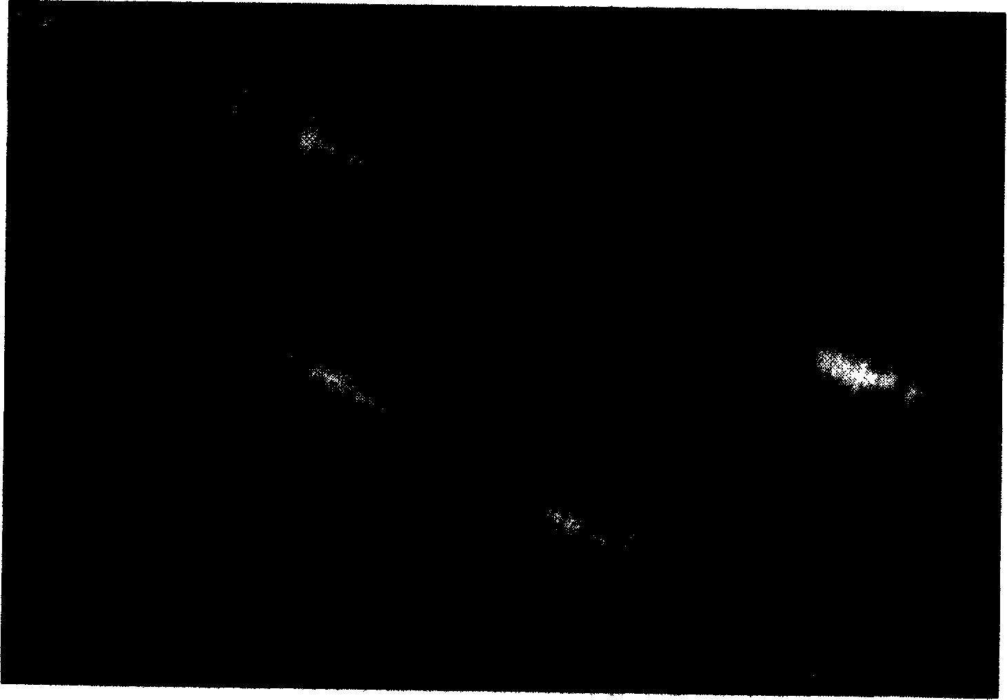 Gear transmission apparatus using flexible belts as engagement medium