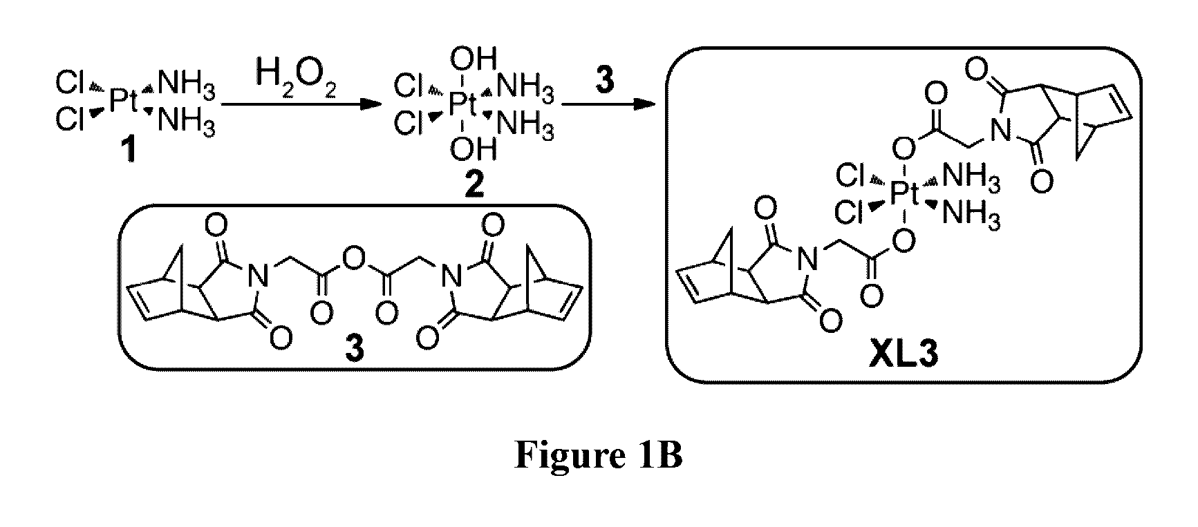 Drug delivery polymer and uses thereof