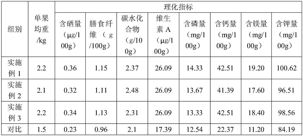 Selenium-rich Yichuanling wax gourd planting method