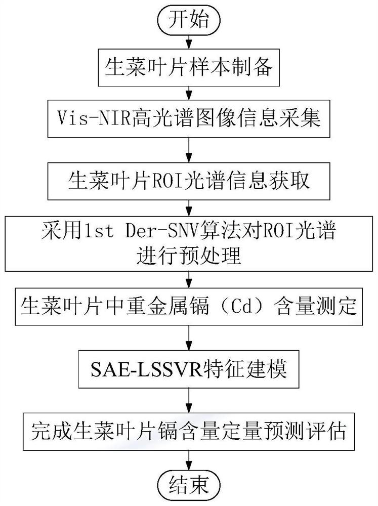 Establishment method of vis-nir spectral depth feature model based on sae-lssvr cadmium content in crops