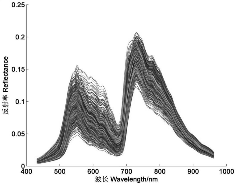 Establishment method of vis-nir spectral depth feature model based on sae-lssvr cadmium content in crops