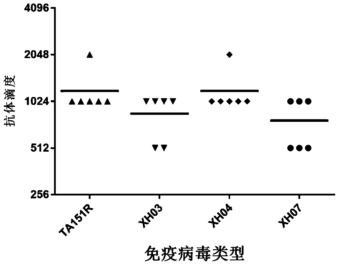 Establishment and evaluation of an animal model of coxsackievirus a10 domesticated strain ta151r-1 infection