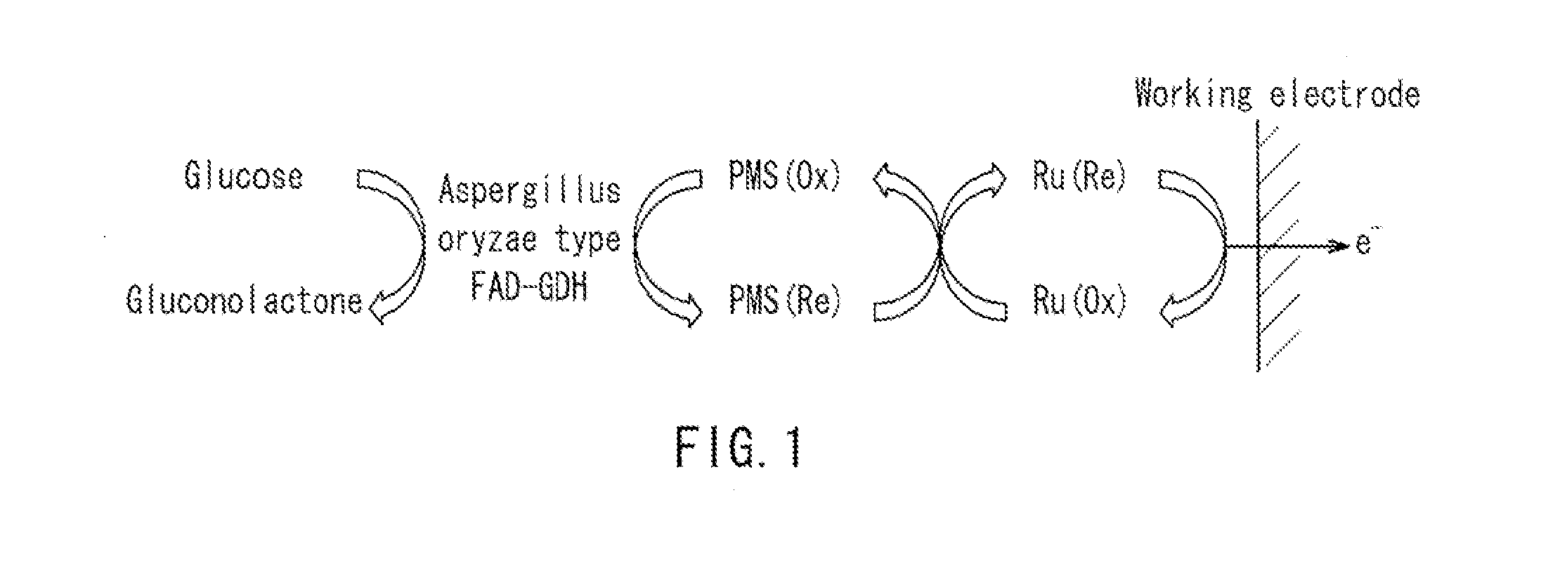 Glucose Sensor