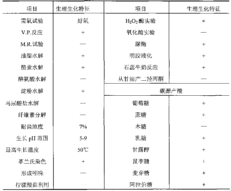 Bacillus subtilis and application thereof in biocatalytic production of L-lactic acid