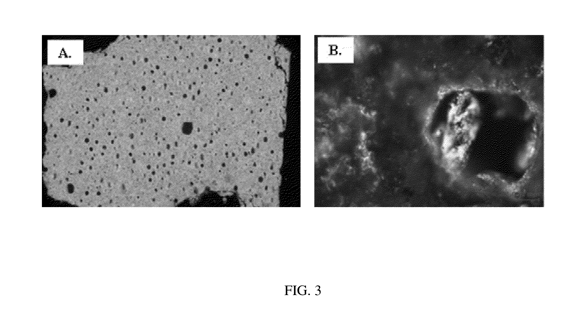 Lightweight hollow particles for use in cementing