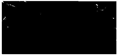 Novel fe-doped srbi  <sub>2</sub> nb  <sub>2</sub> o  <sub>9</sub> Multiferroic ceramic material with Oliveris structure and preparation method thereof