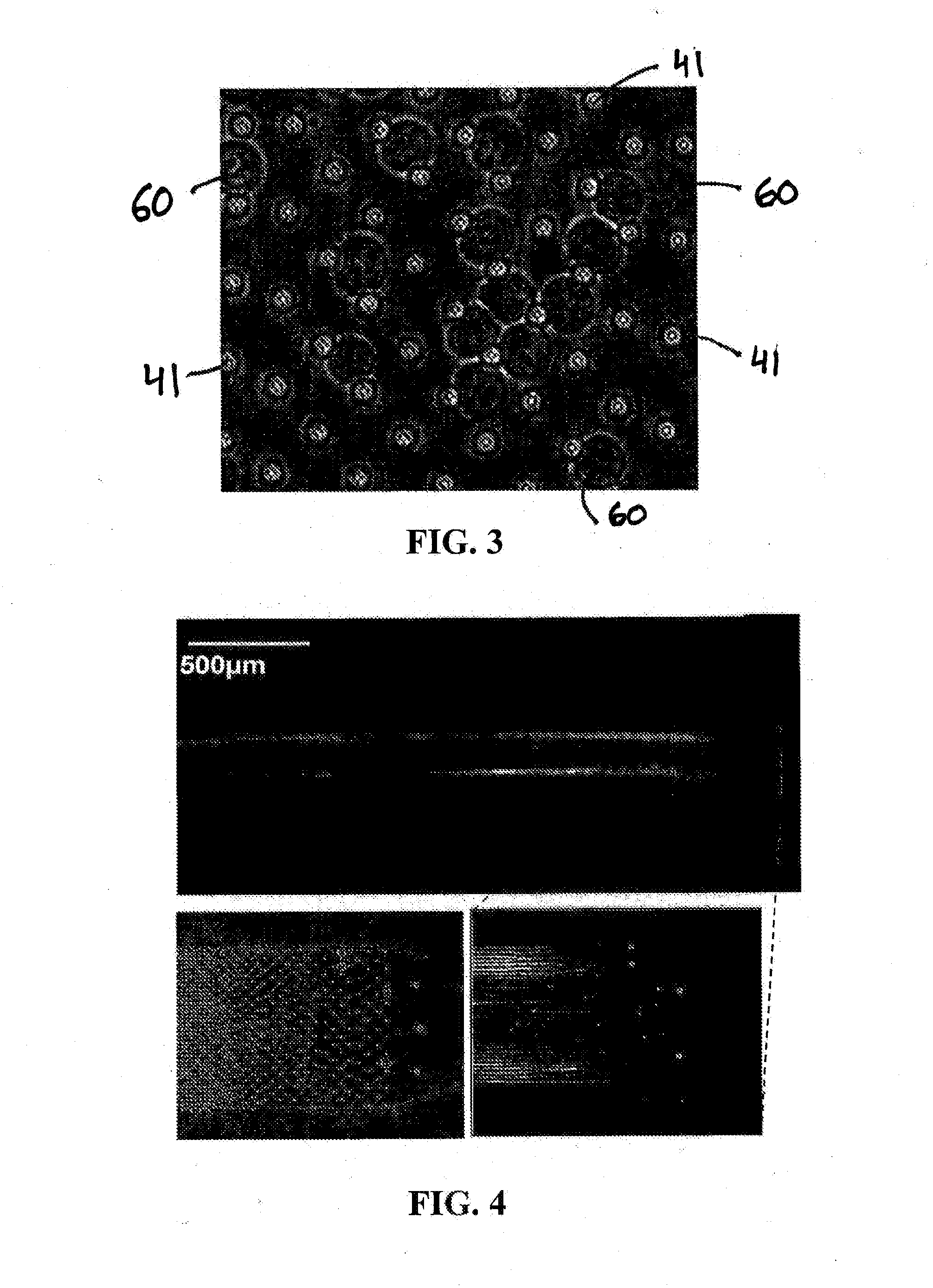 Microfluidic device for extracting, isolating, and analyzing DNA from cells