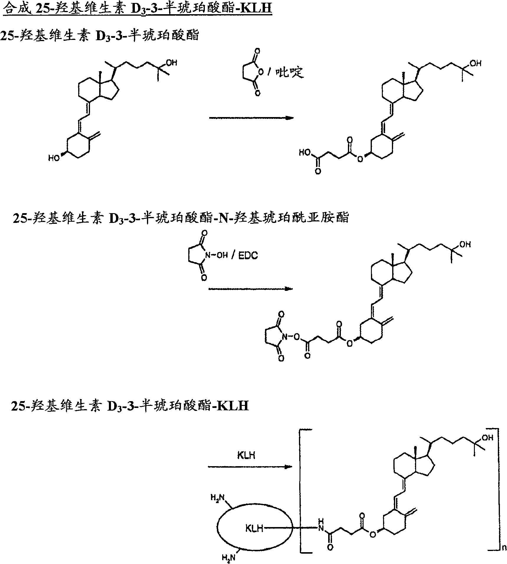 Antibodies against 25-hydroxyvitamin D