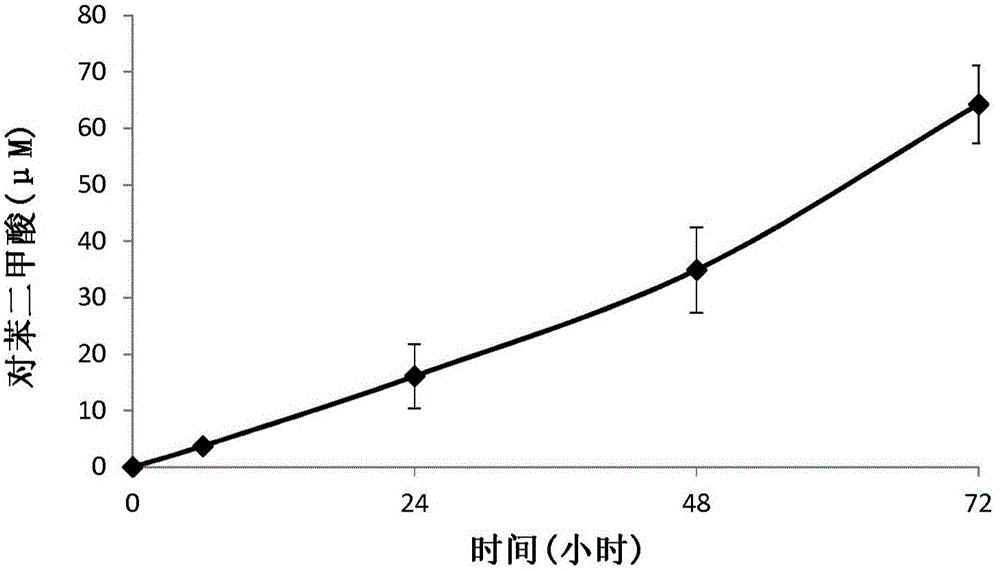 Method for recycling plastic products