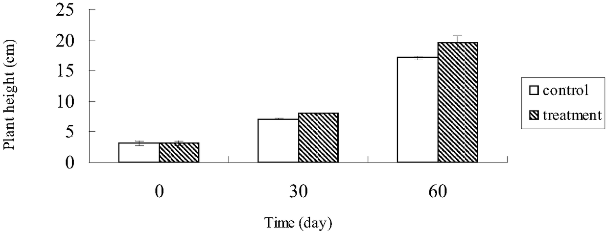 Gongronella sp. strain and application thereof