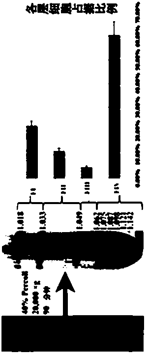 Three-step separation method for enriching stem cells