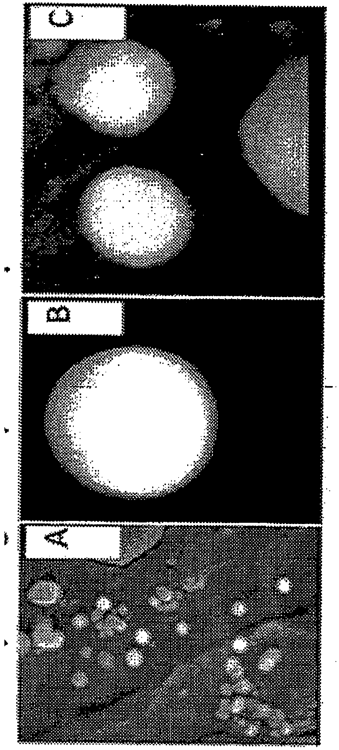 Nanoformulations for plants