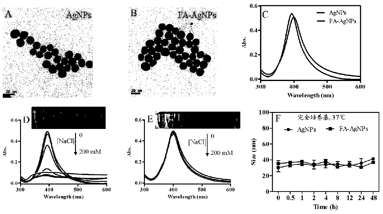 Polymer/silver active bonding compound for inhibiting proliferation of activated macrophage, and preparation and applications of bonding compound