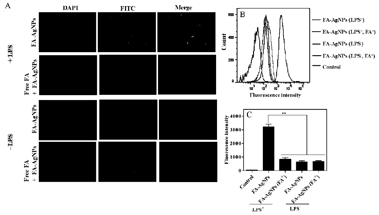 Polymer/silver active bonding compound for inhibiting proliferation of activated macrophage, and preparation and applications of bonding compound