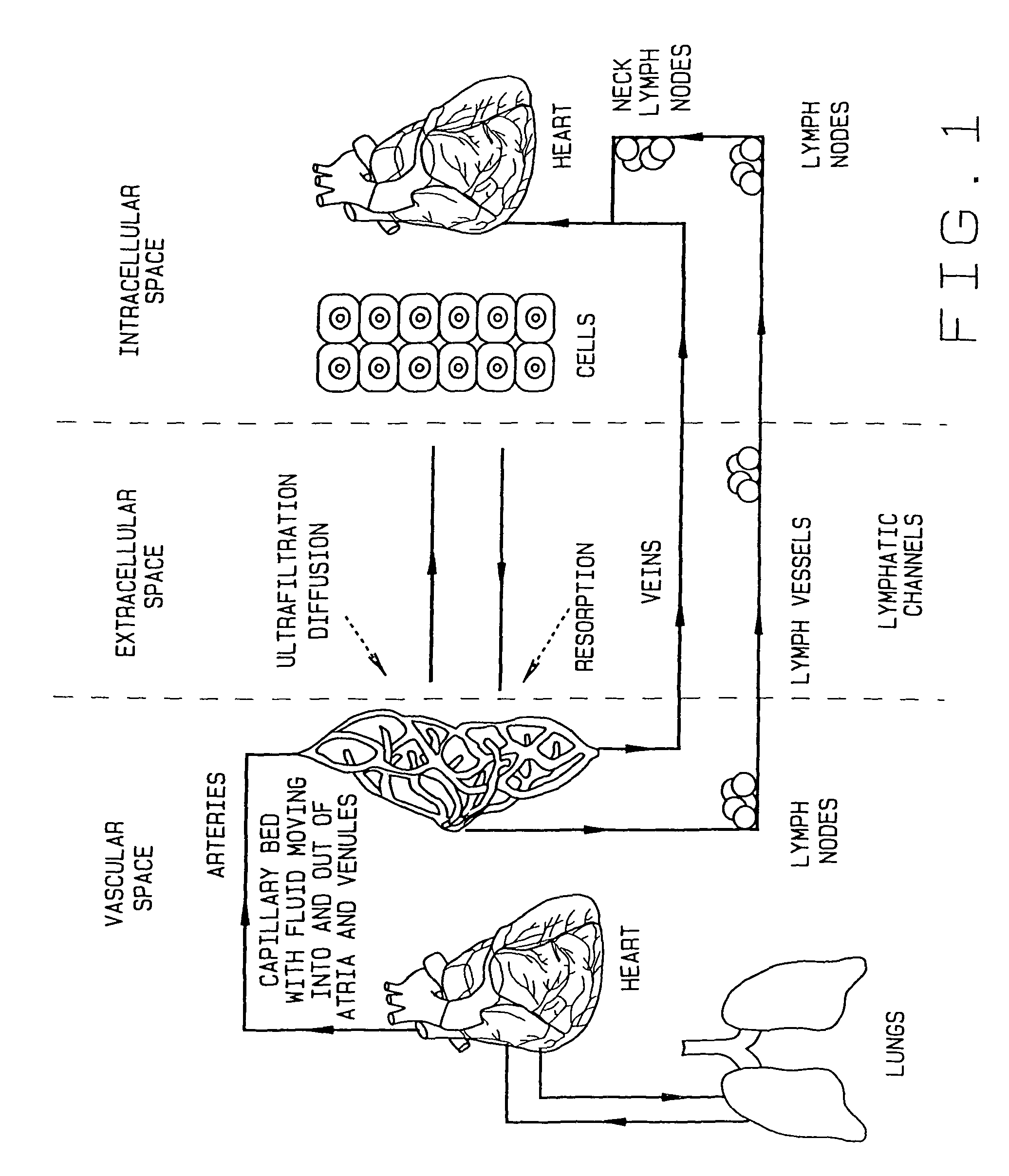 Segmented pneumatic pad regulating pressure upon parts of the body during usage