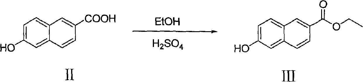 Naphthlamide derivative used as protein kinase inhibitor and histone deacetylase inhibitor and preparation method of naphthlamide derivative