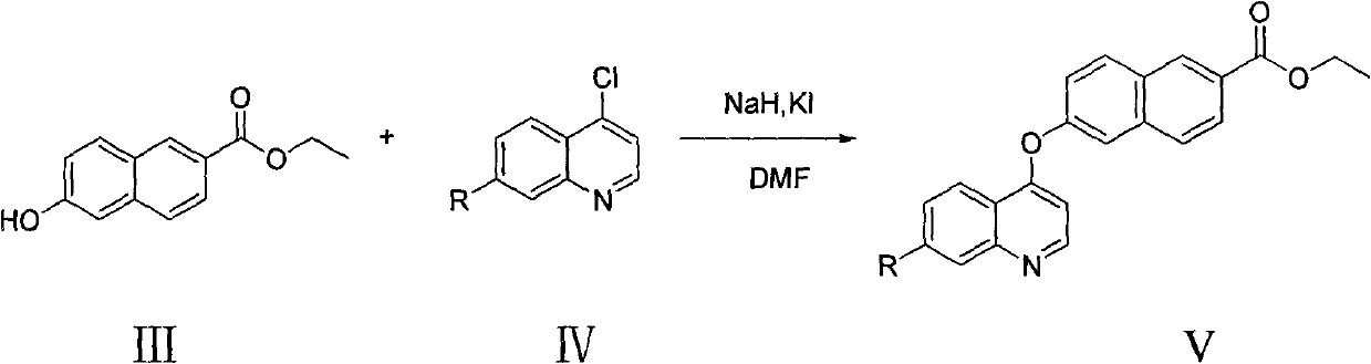 Naphthlamide derivative used as protein kinase inhibitor and histone deacetylase inhibitor and preparation method of naphthlamide derivative