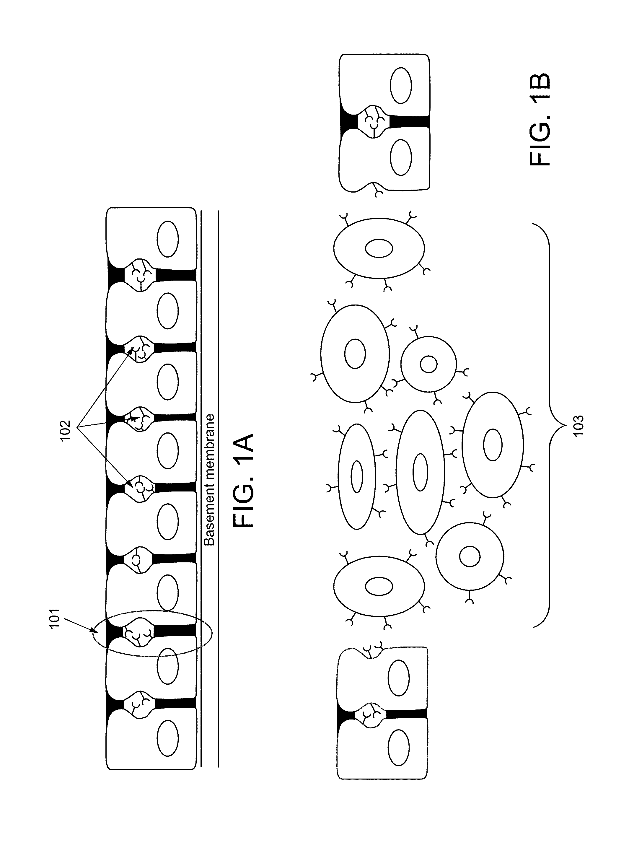 Liposome encapsulated affinity drug