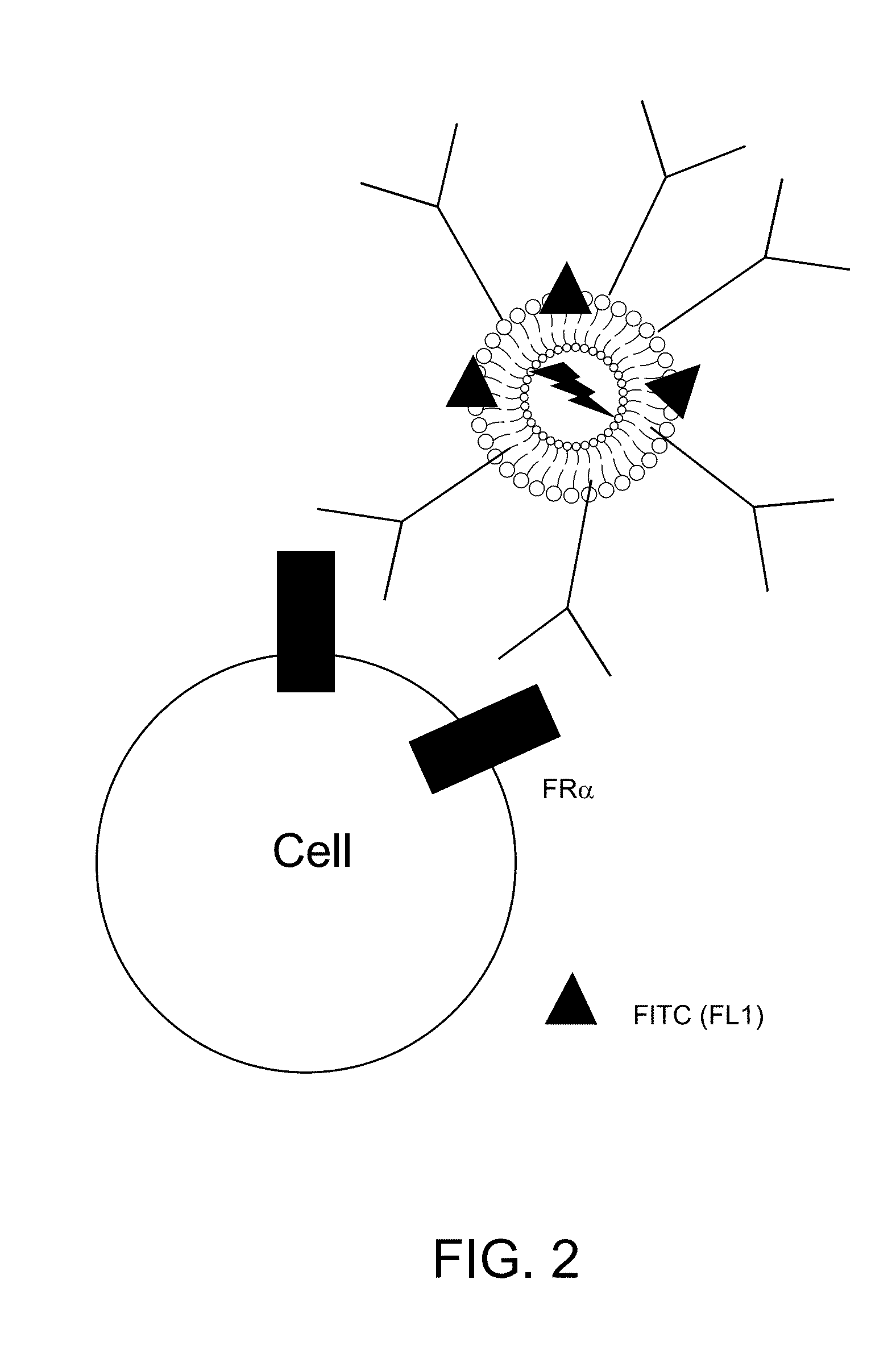 Liposome encapsulated affinity drug