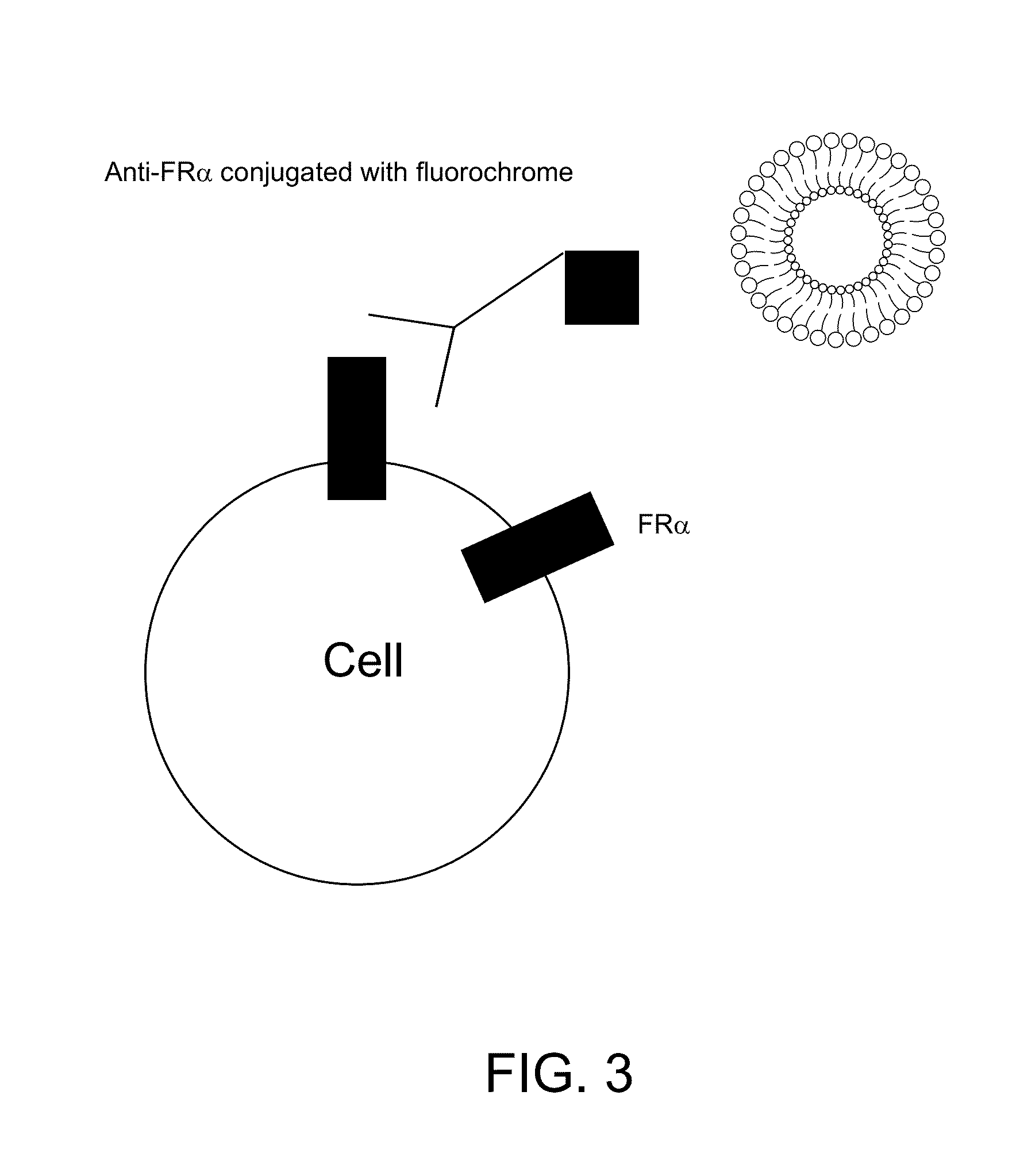 Liposome encapsulated affinity drug