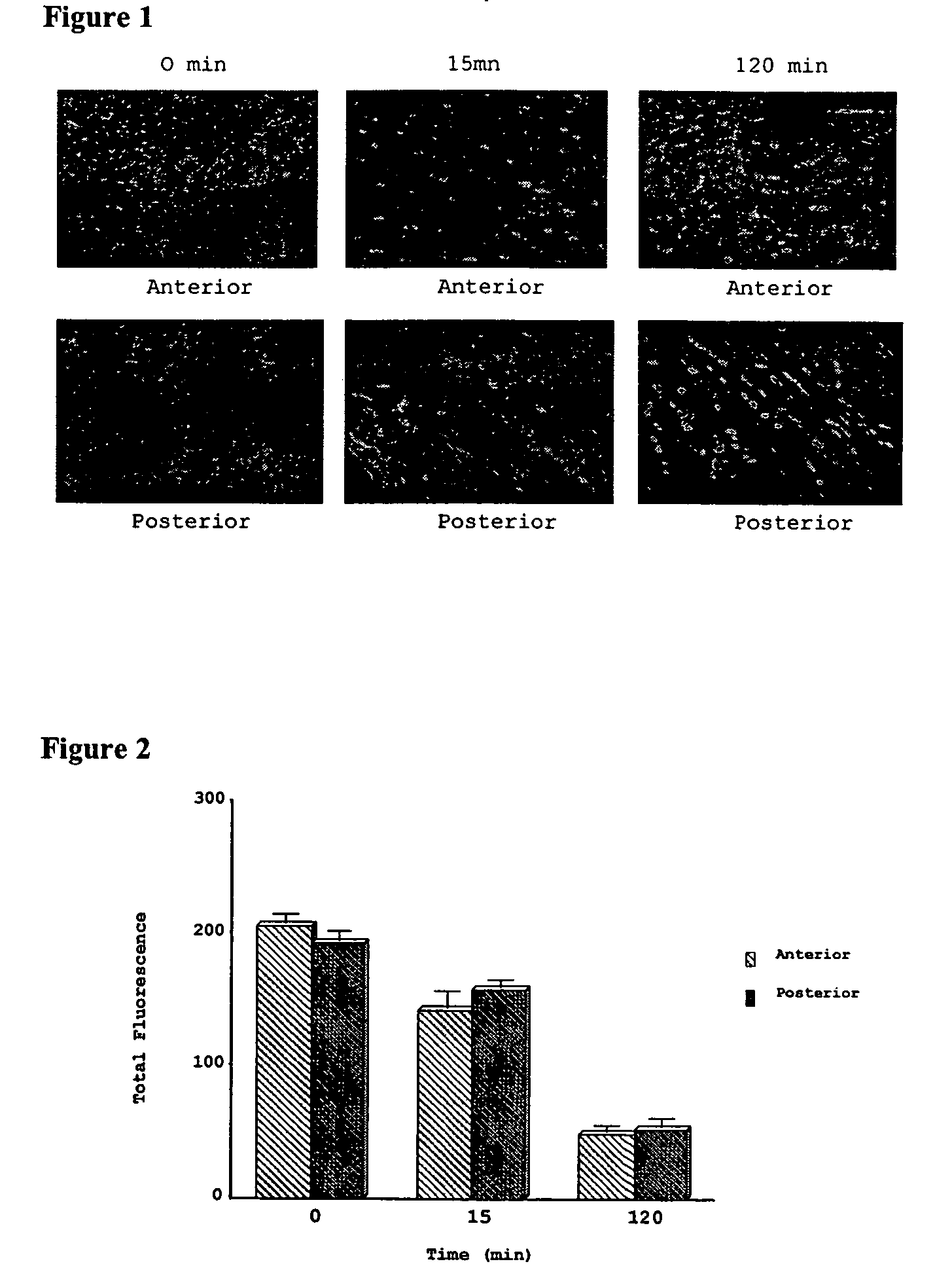 Compositions and methods for tissue preservation