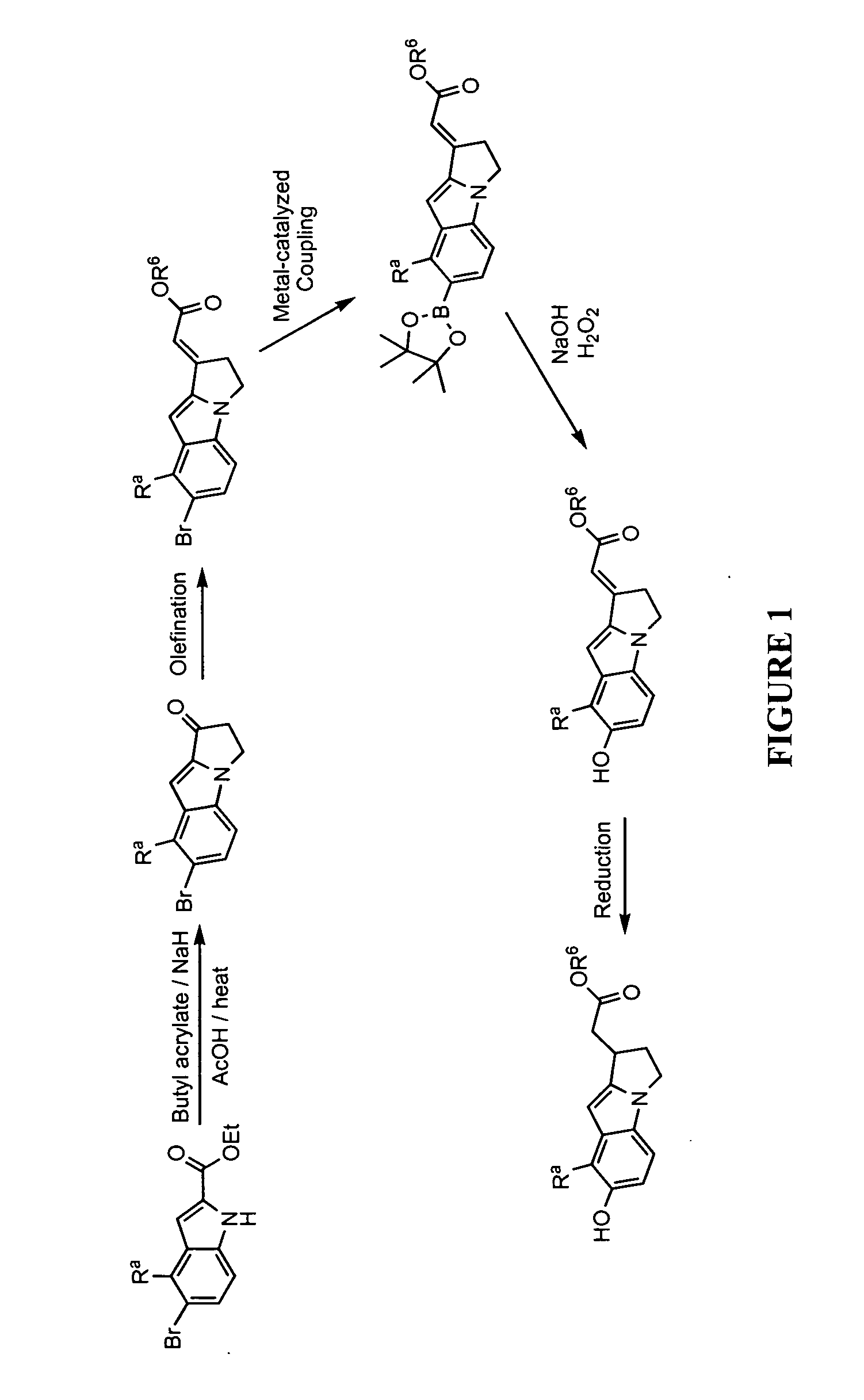 Substituted tricyclic acid derivatives as s1p1 receptor agonists useful in the treatment of autoimmune and inflammatory disorders