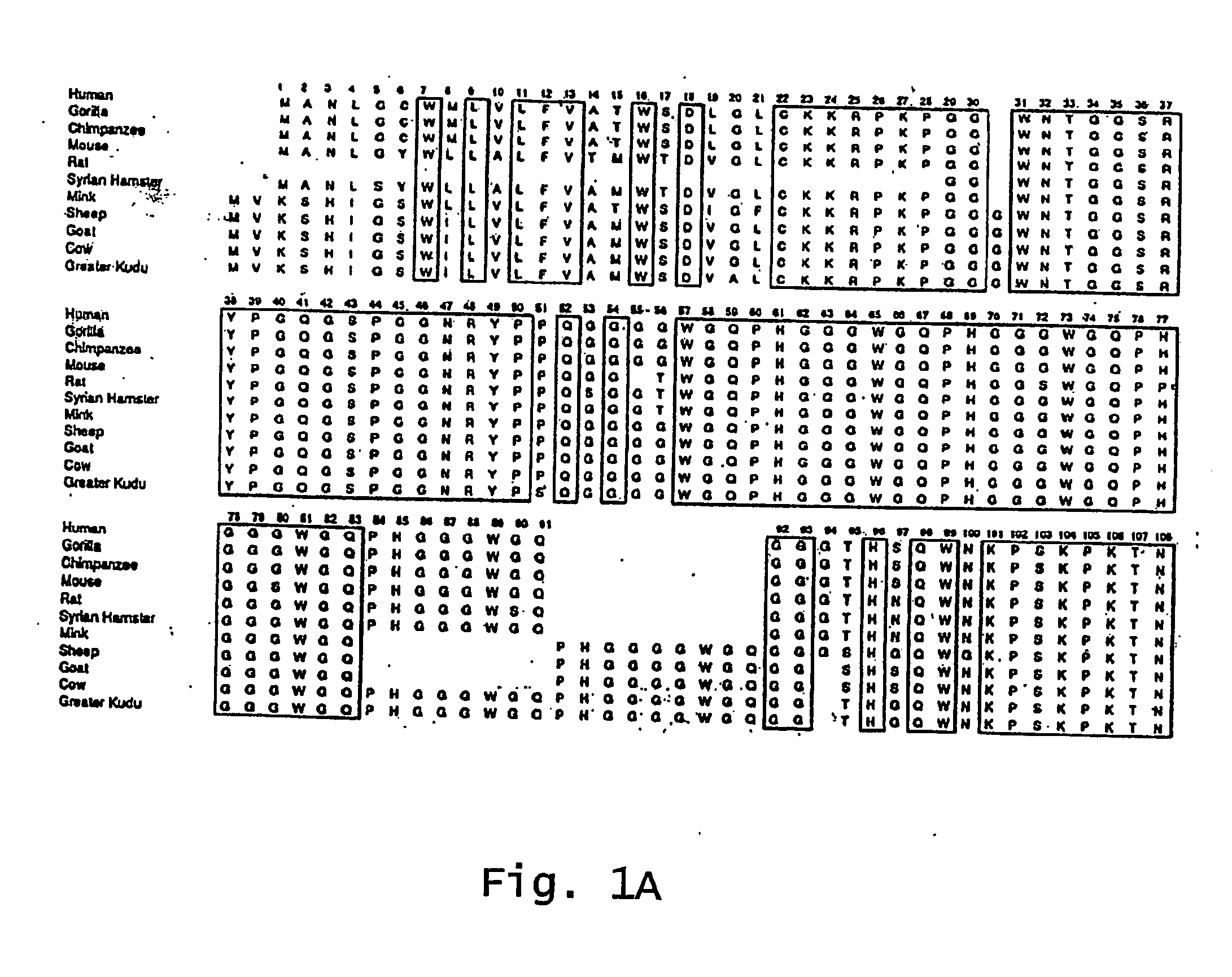 Mucosal immunization to prevent prion infection