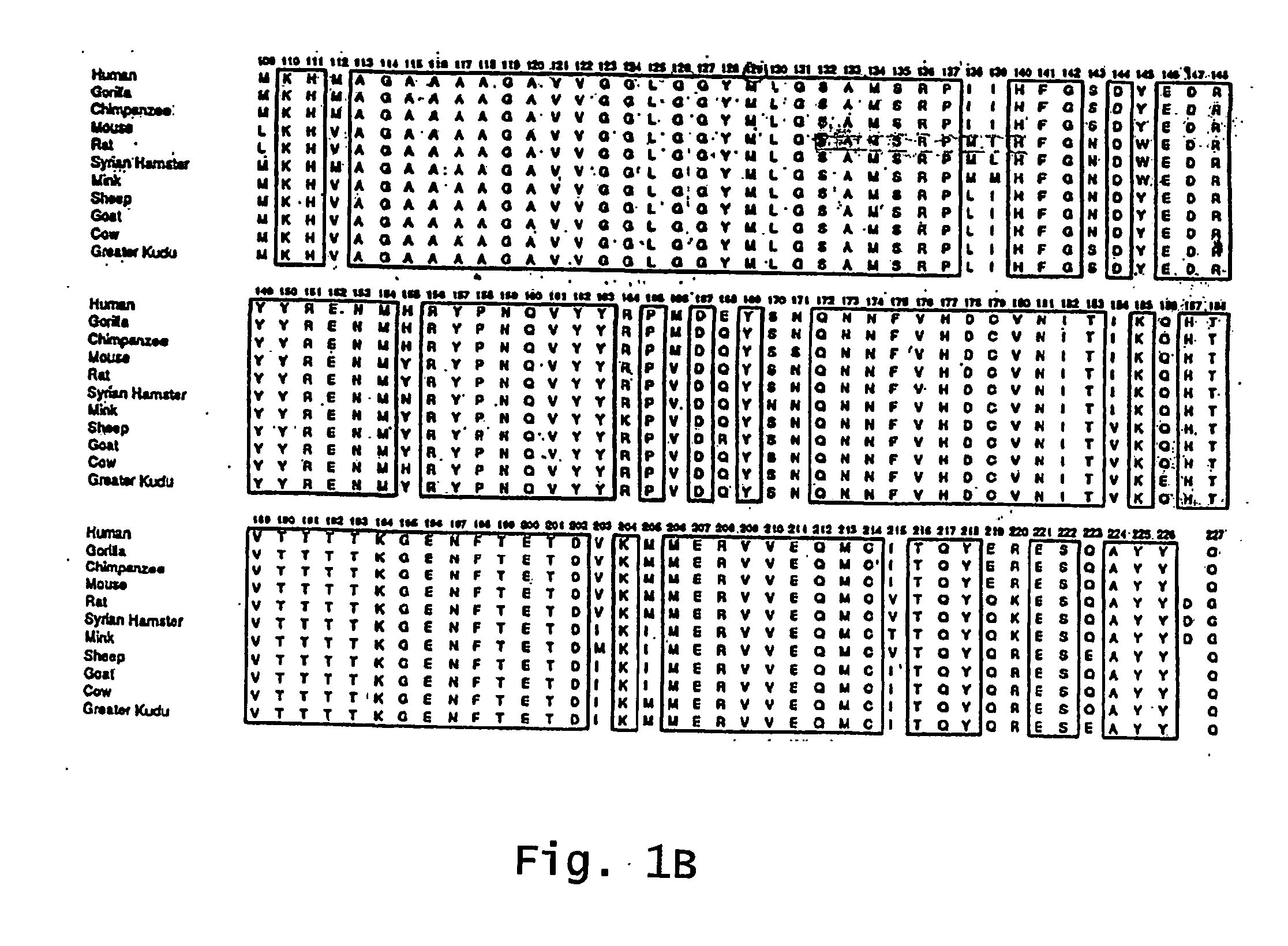 Mucosal immunization to prevent prion infection