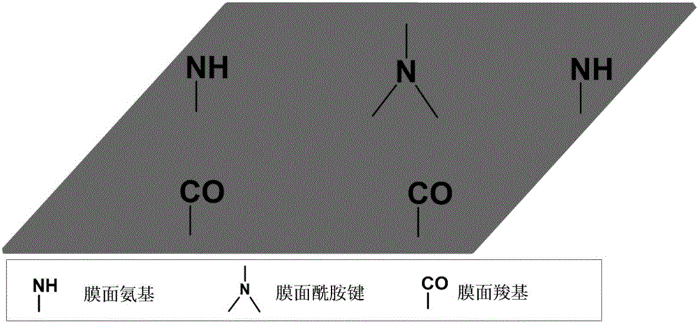 Aromatic polyamide composite RO (reverse osmosis) membrane grafted with fluorocarbon materials and aminoglycoside antibiotics as well as preparation method