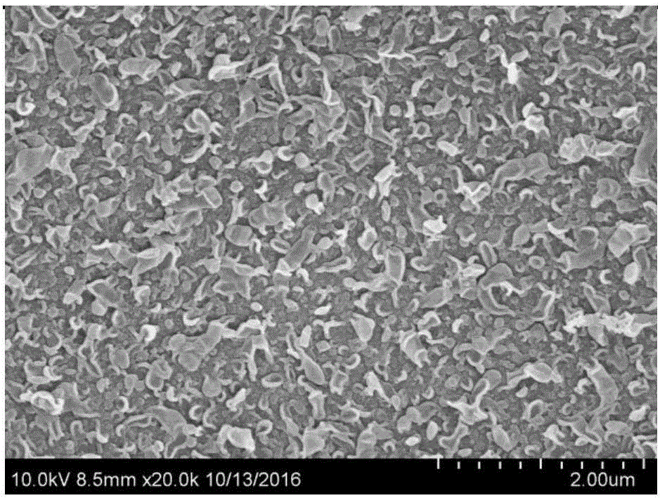 Aromatic polyamide composite RO (reverse osmosis) membrane grafted with fluorocarbon materials and aminoglycoside antibiotics as well as preparation method