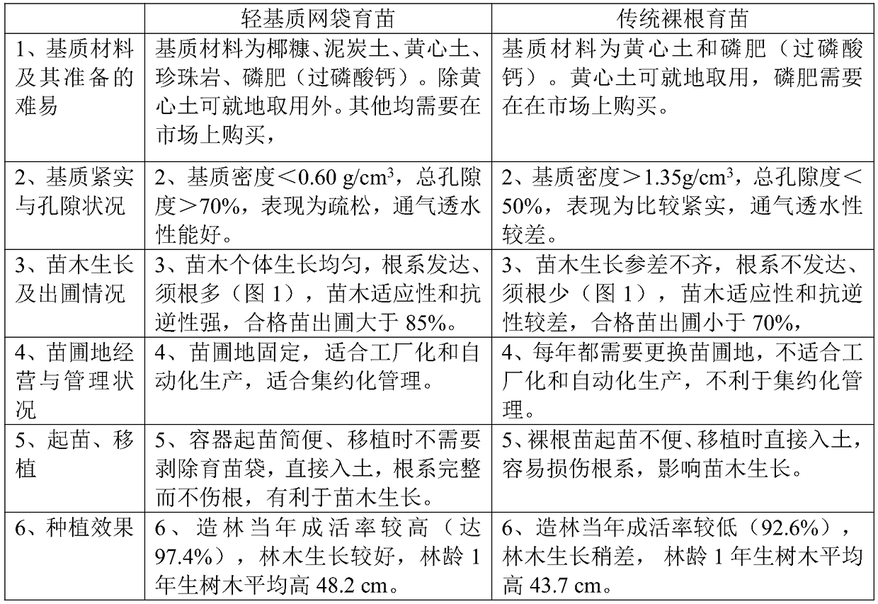 Method for raising taiwania flousiana gaussen light-matrix container seedling